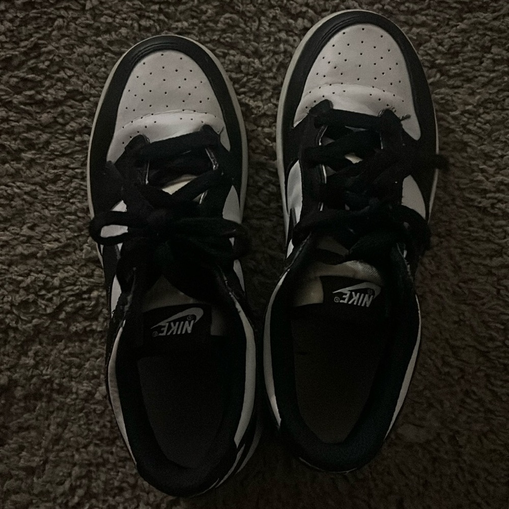 Big kids Nike dunks